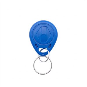 TAG de proximitate SilverCloud TEM01 125 KHz 64 bit